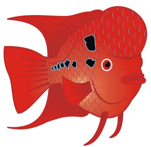 Flowerhorn 鱼矢量图像