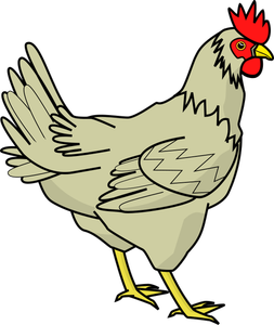 Disegno di uccello di pollame