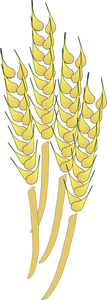 Gráficos vectoriales de las vainas de trigo