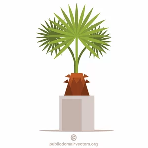 Planta de palma decorativa