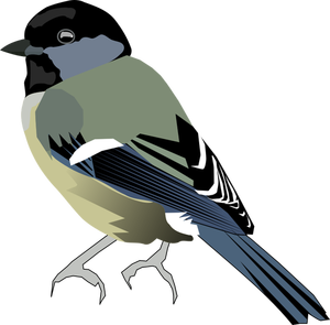 Vector de la imagen de color pájaro con el frente gris