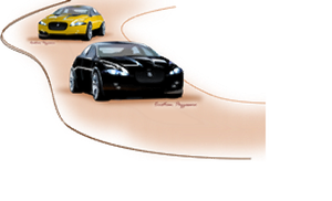 Two racing cars