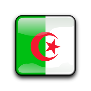 Bandiera vettoriale algerino lucido
