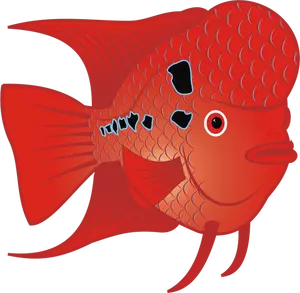Czerwony goldfish