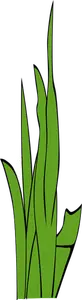 Leaves of grass vector illustration