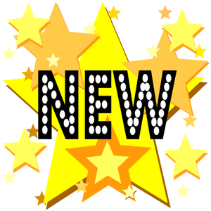 New on stars sign vector image
