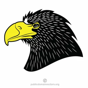 Adler mit gelbem Schnabel