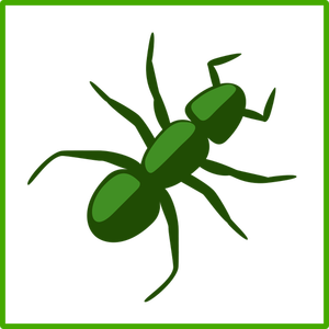 绿色蜘蛛的矢量绘图
