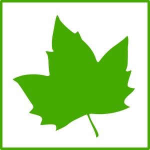 Eco leaf vector icon