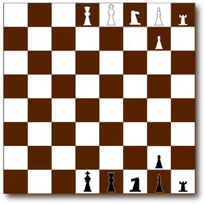 رقعة الشطرنج والقطع