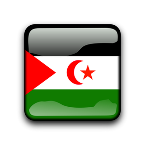 Glanzende knop met de vlag van de Westelijke Sahara