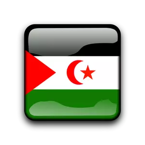 西サハラの国旗と光沢のあるボタン