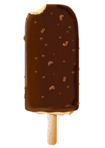 Chocolate ice cream vector image
