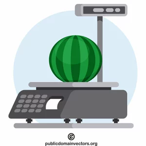 Watermelon on electronic scale