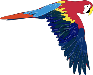 Vektör grafik ve uçan Amerika papağanı