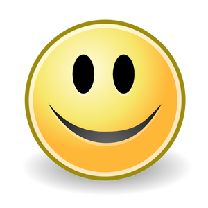 Smiley face icon vector image