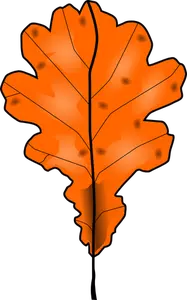 Brown fall leaf vector clip art