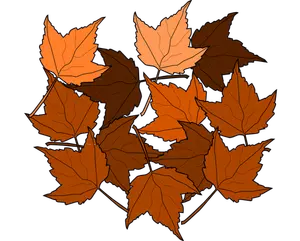 Brown fall leaves vector drawing