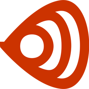 Vector illustration of modern newsfeed icon