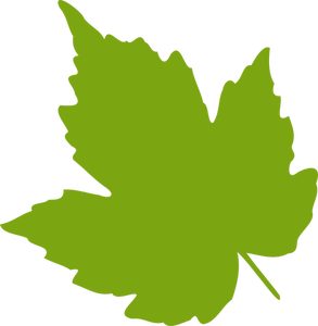 Image de vecteur vert érable feuille
