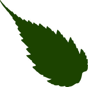 Image of drak green silhouette of a leaf