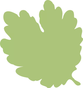 Illustration of pale green leaf silhouette