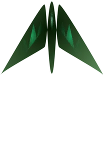 Military jet fighter vector