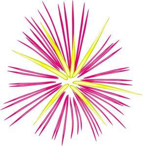 Růžové ohňostroje vektorové ilustrace