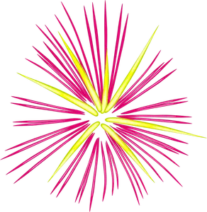 Fuochi d'artificio rosa vettoriale illustrazione