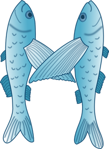 Blue and white vector illustration of two fish