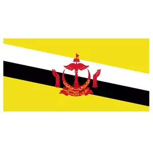 Vector flagga Brunei