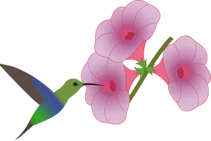 Colibri fågeln plockar på en blomma illustration
