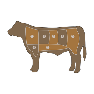 Rindfleisch Diagramm Vektor