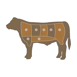 Beef Chart Vector