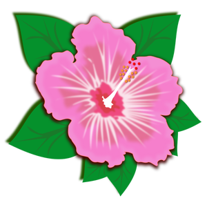 Rosa blomma med gröna blad