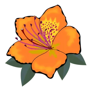 Orange bunga dengan daun