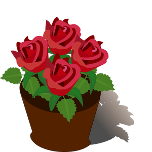 Rode rozen in een pot
