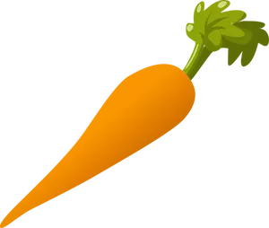Porkkana kasvis