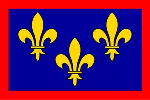 Frankrijk Anjou regio vlag vector afbeelding