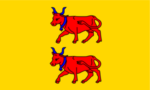 Bearn regio vlag vector illustraties