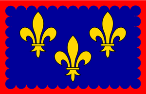 Bandiera regione Berry vettoriale immagine