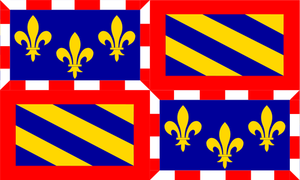 Drapeau de la région Bourgogne vector illustration
