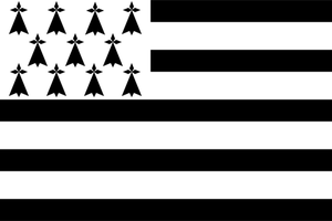 Brittany bölgesi bayrak çizim vektör