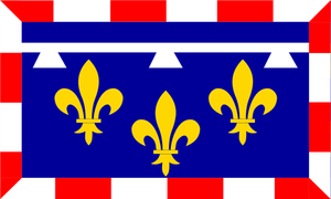 Bandiera della regione centro-Val-de-Loire grafica vettoriale