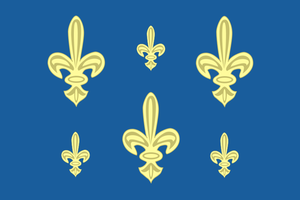 Franska flottans flagga vektor bild
