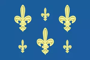 French navy flag vector image