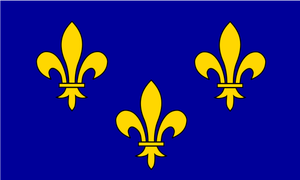 W regionie Île-de-France flaga grafika wektorowa