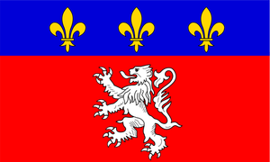 Lyonnais regionen flagg vektor illustrasjon