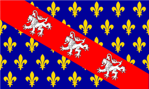 Bandera de la región de Marche gráficos vectoriales