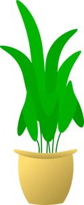 Illustration der großen vierblättrigen Pflanze im Topf